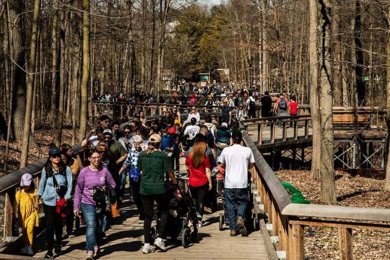 Toronto: Toronto Zoo Entry Ticket - Seven Zoogeographic Regions: The Best Way to Navigate the Zoo